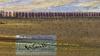 Park of the aqueducts with herds, Rome - Carelli Gabriele